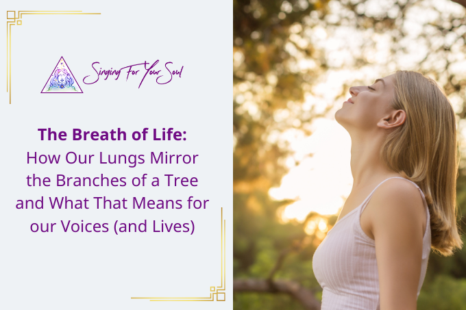 The Breath of Life: How Our Lungs Mirror the Branches of a Tree and What That Means for our Voices (and Lives)